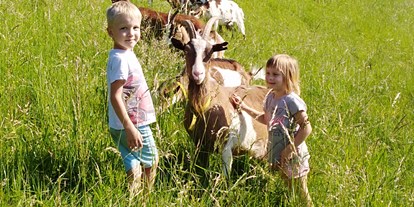 Urlaub auf dem Bauernhof - Tiere am Hof: Gänse - Österreich - Simmhof