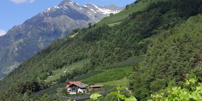 Urlaub auf dem Bauernhof - ruhige Lage - Südtirol - Oberötzbauerhof