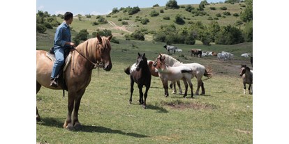 Urlaub auf dem Bauernhof - Tiere am Hof: Enten - Italien - Le nostre passeggiate a cavallo - Agriturismo Bartoli