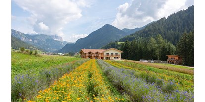 Urlaub auf dem Bauernhof - Stromanschluss: für E-Autos - Trentino-Südtirol - Ecogreen Agriturismo Fiores immerso nei prati delle Dolomiti - Fiores Eco-Green Agriturismo e Azienda Agricola Biologica