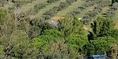 Urlaub auf dem Bauernhof - San Gimignano - Lavorazione dei campi - Agriturismo le Cerbonche