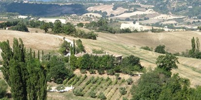 Urlaub auf dem Bauernhof - Art der Landwirtschaft: Weinbau - Agriturismo Le Cesane