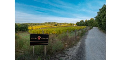 Urlaub auf dem Bauernhof - Art der Landwirtschaft: Weinbau - I nostri vigneti di Sangiovese - Fattoria di Gratena