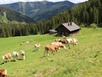vacanza in fattoria - Austria - Bio Bauernhof Braun
