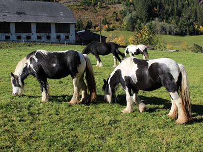 Urlaub auf dem Bauernhof - Mithilfe beim: Tiere pflegen - Österreich - Bio Bauernhof Braun
