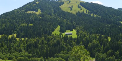Urlaub auf dem Bauernhof - Jahreszeit: Sommer-Urlaub - Allgäu - Bauernhof "Almfrieden"