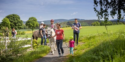 Urlaub auf dem Bauernhof - Nordrhein-Westfalen - Ponyreiten - Hardthof-Sauerland