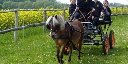 Urlaub auf dem Bauernhof - Hunde: erlaubt - Deutschland - Ponykutschfahrten - Bernsteinland Barth