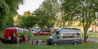 Urlaub auf dem Bauernhof - Tiere am Hof: Ziegen - Deutschland - Campingplatz - Bernsteinland Barth