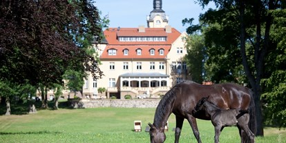 Urlaub auf dem Bauernhof - Mecklenburg-Vorpommern - Bernsteinschloss - Bernsteinland Wendorf