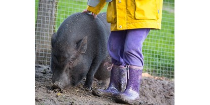 Urlaub auf dem Bauernhof - Tiere am Hof: Gänse - Minischweine - Warfthof Wollatz - Nordseeurlaub mit Feinsinn