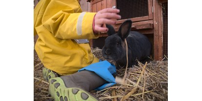 Urlaub auf dem Bauernhof - Tiere am Hof: Gänse - Kaninchen - Warfthof Wollatz - Nordseeurlaub mit Feinsinn