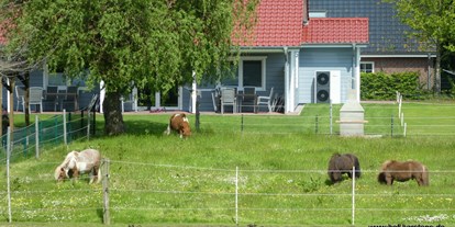 Urlaub auf dem Bauernhof - Spielplatz - Deutschland - Einige unserer Ponys - Nordsee nähe Büsum Ferienhof Karstens