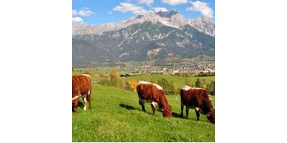 vacation on the farm - Tiere am Hof: Ziegen - Salzburg - Vorderkasbichlhof - Pension Schmiderer