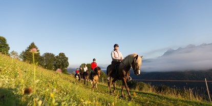 Urlaub auf dem Bauernhof - Steiermark - Reiten am Seiterhof - Reiterhof Seiterhof