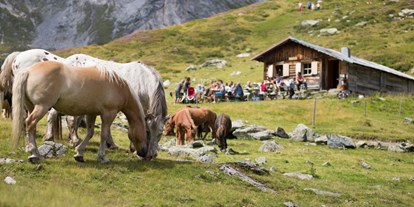 Urlaub auf dem Bauernhof - Tiere am Hof: Ziegen - Österreich - Reiterhof Seiterhof