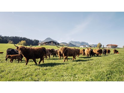 Urlaub auf dem Bauernhof - Wanderwege - Österreich - Hochlandrinder - Feriengut Unterhochstätt