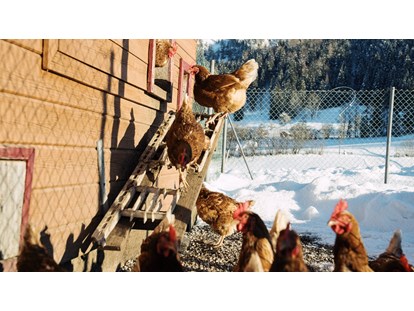 Urlaub auf dem Bauernhof - Alpen - Hühner - Feriengut Unterhochstätt