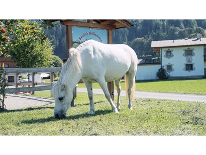 Urlaub auf dem Bauernhof - Jahreszeit: Sommer-Urlaub - Pferde - Feriengut Unterhochstätt