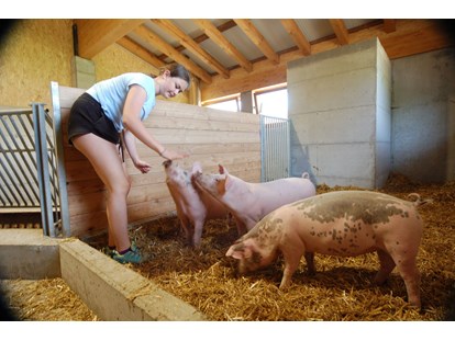 Urlaub auf dem Bauernhof - Mithilfe beim: Heuernten - Österreich - Schweine - Feriengut Unterhochstätt