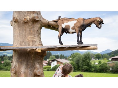 Urlaub auf dem Bauernhof - Trampolin - Alpen - Ziegen - Feriengut Unterhochstätt