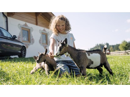 Urlaub auf dem Bauernhof - Wanderwege - Österreich - Ziegen - Feriengut Unterhochstätt