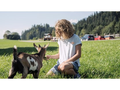 Urlaub auf dem Bauernhof - Fahrzeuge: Traktor - Alpen - Ziegen - Feriengut Unterhochstätt