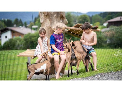 Urlaub auf dem Bauernhof - Mithilfe beim: Tiere pflegen - Österreich - Ziegen - Feriengut Unterhochstätt