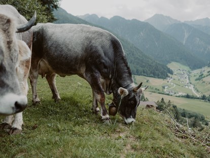 Urlaub auf dem Bauernhof - selbstgemachte Produkte: Kräuter - Trentino-Südtirol - Auf der Weide fühlt sich Laura und Steffi wohl - Gogerer Hof