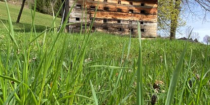 Urlaub auf dem Bauernhof - Art der Landwirtschaft: Bergbauernhof - Salzburg - alte Bienenhütte - Finkhof Appartements