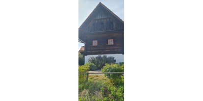 Urlaub auf dem Bauernhof - Gemeinschaftsterrasse - Steiermark - Ferienhaus Kaag1723
