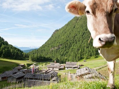 Urlaub auf dem Bauernhof - Südtirol - Lechnerhütte
