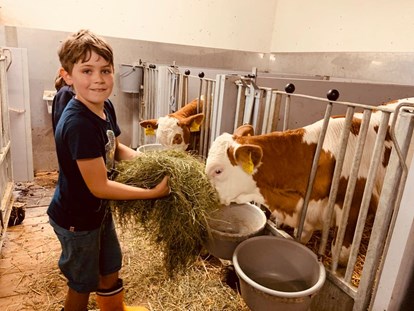 Urlaub auf dem Bauernhof - Art der Landwirtschaft: Milchbauernhof - Salzburg - Baby- und Kinderferienbiobauernhof Sinnhubbauer