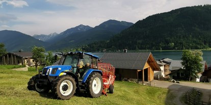 Urlaub auf dem Bauernhof - Wellness: Wellnessbereich - Oberdrautal - Ferienhof Neusacher-Moser