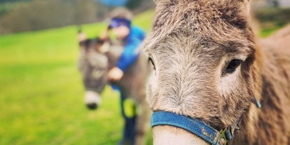 Urlaub auf dem Bauernhof - Tiere am Hof: Pferde - Österreich - Esel - Kinderbauernhof Albeineler Pitztal Tirol