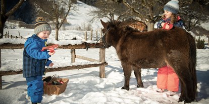 Urlaub auf dem Bauernhof - Tiere am Hof: Schweine - Salzburg - Schmiedhofgut