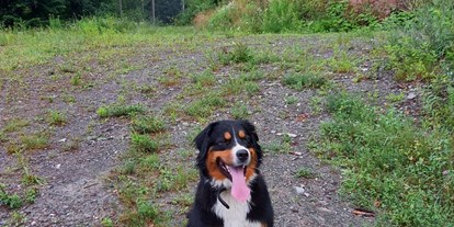 Urlaub auf dem Bauernhof - Umgebung: Urlaub in den Wäldern - Jenig - Luna, unser Hofhund, begrüßt euch als Erster am Hof! - Biobauernhof Wegscheider