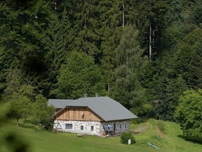 Urlaub auf dem Bauernhof - Tiere am Hof: Ponys - Österreich - Hochgattern