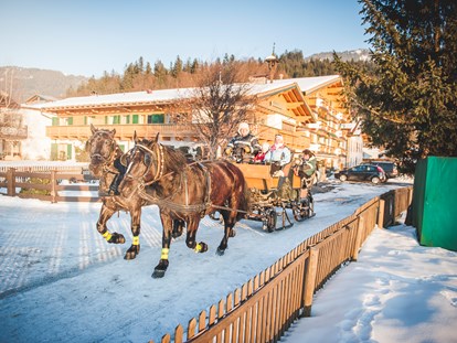 Urlaub auf dem Bauernhof - Leogang - Unsere Norika - Pferde ziehen im Winter den großen Schlitten durch die verschneite Landschaft. - Familotel Landgut Furtherwirt