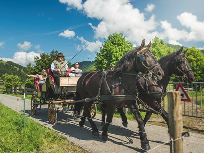 Urlaub auf dem Bauernhof - erreichbar mit: Auto - Pferdekutschfahrt im Sommer - Familotel Landgut Furtherwirt