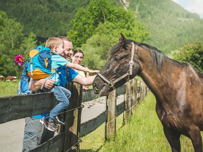 Urlaub auf dem Bauernhof - Tiere am Hof: Ponys - Österreich - Unsere Kühe und Pferde können Sie im Sommer täglich auf der Weide besuchen. - Familotel Landgut Furtherwirt
