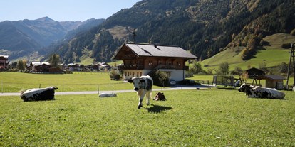 Urlaub auf dem Bauernhof - Tiere am Hof: Pferde - Salzburg - Astlhof