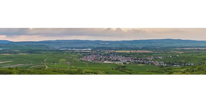 Urlaub auf dem Bauernhof - geeignet für Events - Deutschland - Weingut Feser mit Vinothek, Ferienwohnungen & Erlebnis