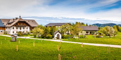 Urlaub auf dem Bauernhof - Schwimmmöglichkeit: Badesee - Salzburg - Vorderreithbauer