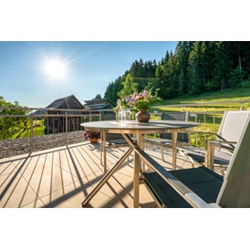 Ferien Bauernhof: die Dachterrasse im Apart "Heidis Nest" - wunderbare Ausblicke sind garantiert - Hauserhof am Goldberg
