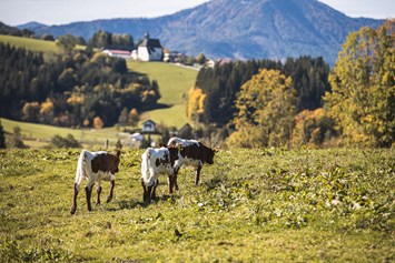 Ferien Bauernhof: Pension-Kobichl