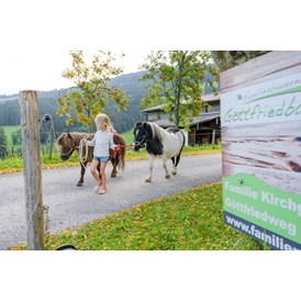 Ferien Bauernhof: Die Ponys kommen auf die Weide - Bio-Familienbauernhof Göttfriedbauer