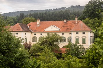 Ferien Bauernhof: Schlossgut Gundersdorf