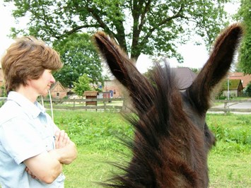 Ferienparadies Schwalbenhof unsere Tiere Esel "Fridolin"