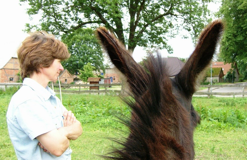 Ferienparadies Schwalbenhof unsere Tiere Esel "Fridolin"